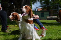 Mary - Lou und Bella !